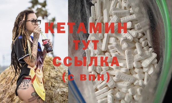 шишки Белокуриха