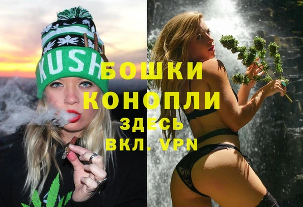 шишки Белокуриха