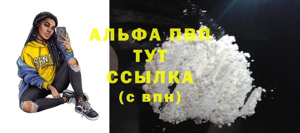 шишки Белокуриха