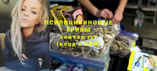 шишки Белокуриха