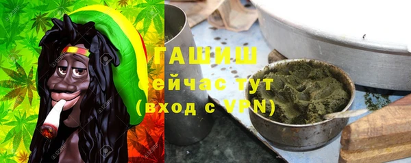 шишки Белокуриха