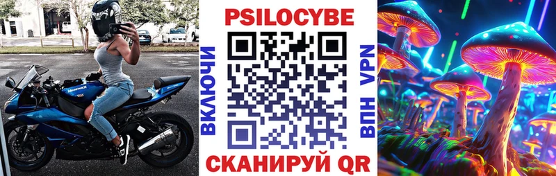 Купить  Пучеж  Галлюциногенные грибы GOLDEN TEACHER 